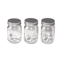 Idea-Ology Mini Mason Jars
